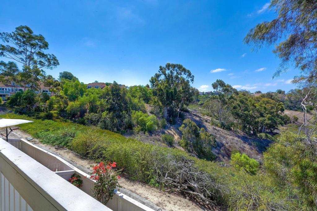 4213 La Pinata Way Unit: 245