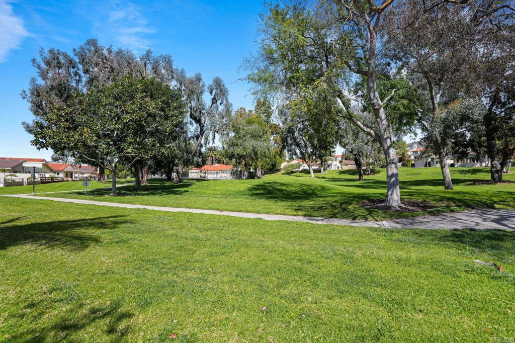 6466 Camino Del Parque
