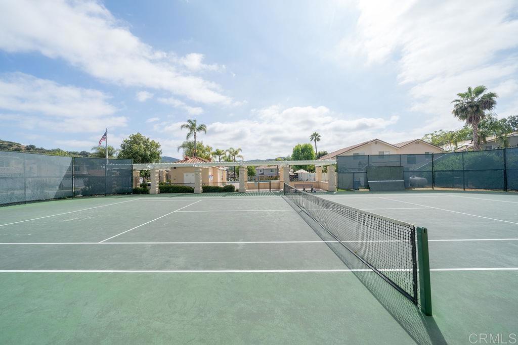 29717 Gracilior Drive