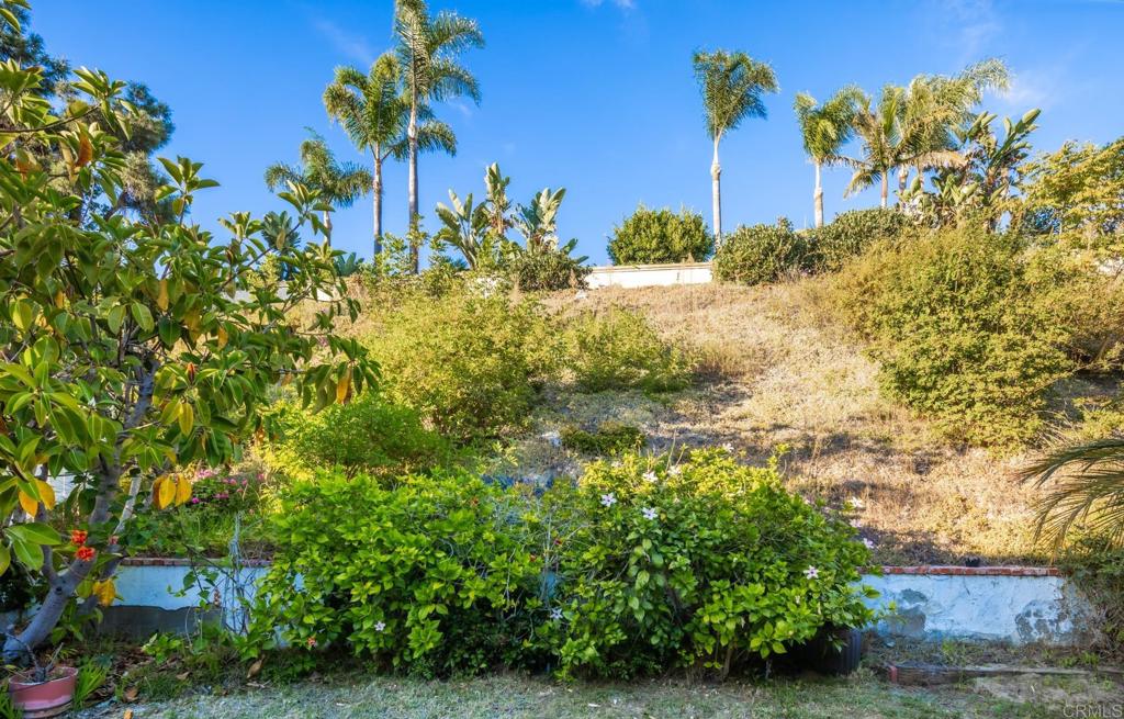 1626 Buttercup Road
