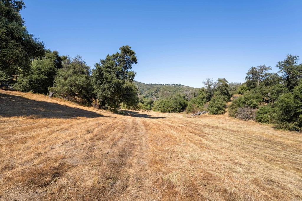 25770 EAST GRADE Road