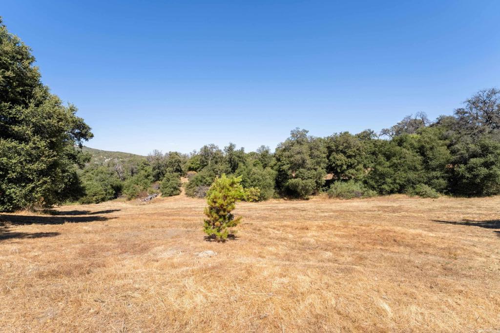25770 EAST GRADE Road