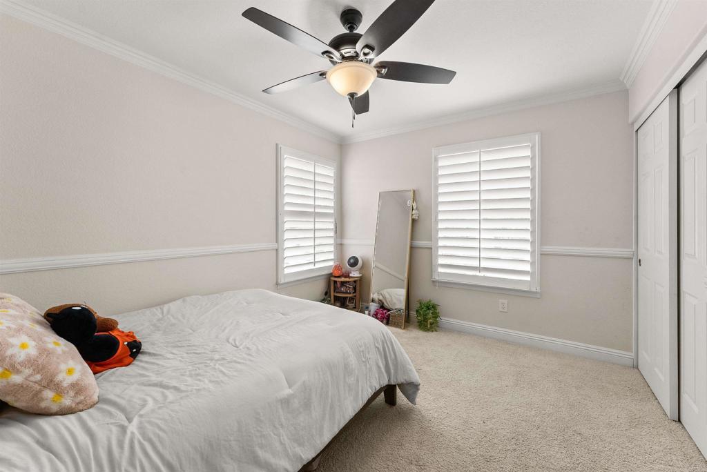 1546 Black Walnut Drive