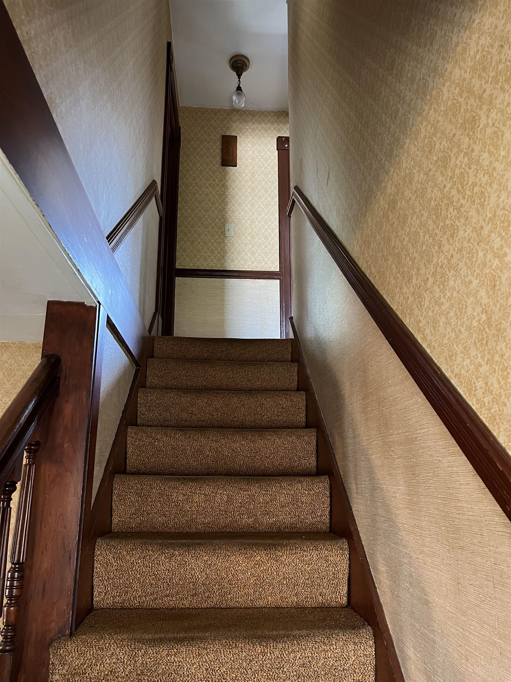 Carpeted staircase with dark wood railings and patterned wallpaper.
