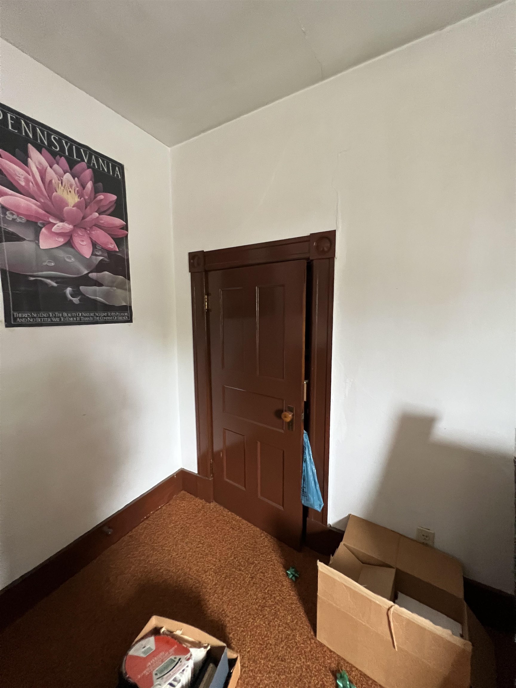 Hallway with a partly open dark wood door, brown carpet, cardboard boxes, and a pink flower poster.