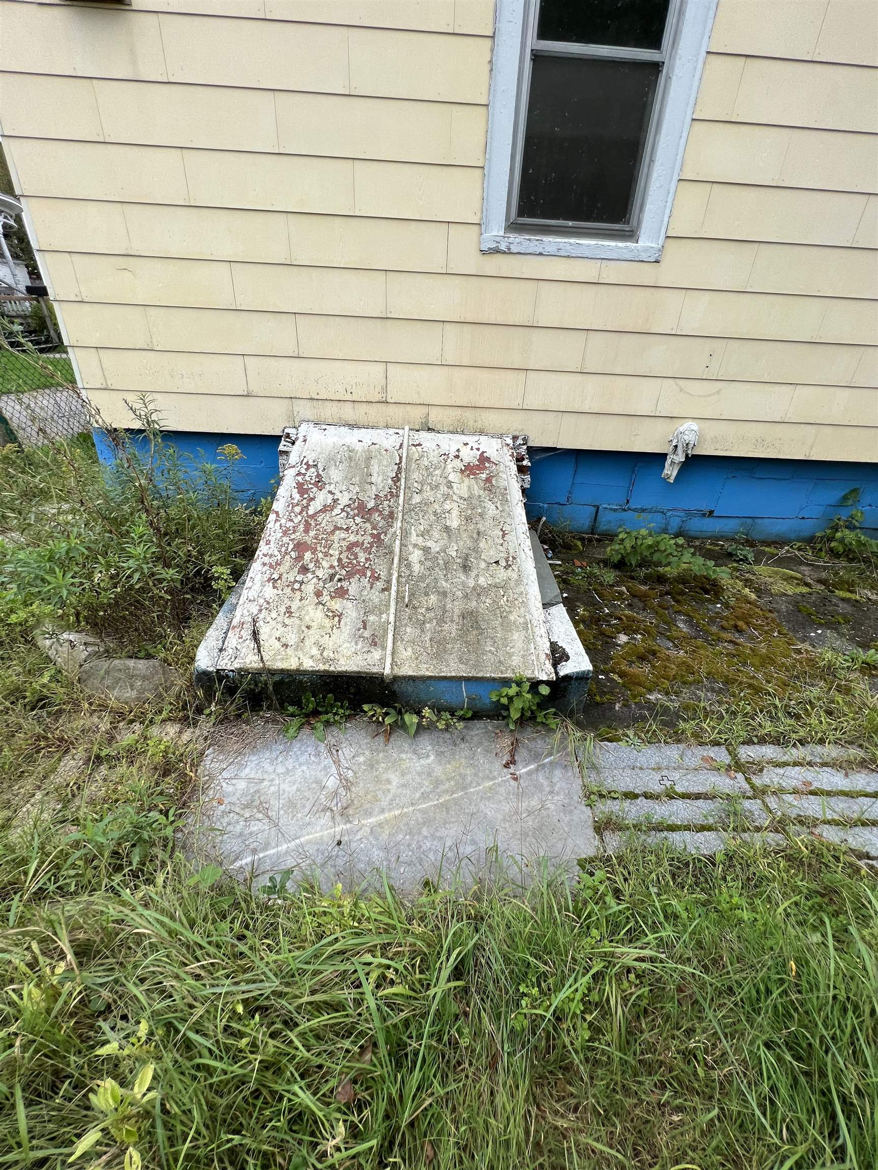House foundation with a weathered basement entrance cover surrounded by overgrown grass.
