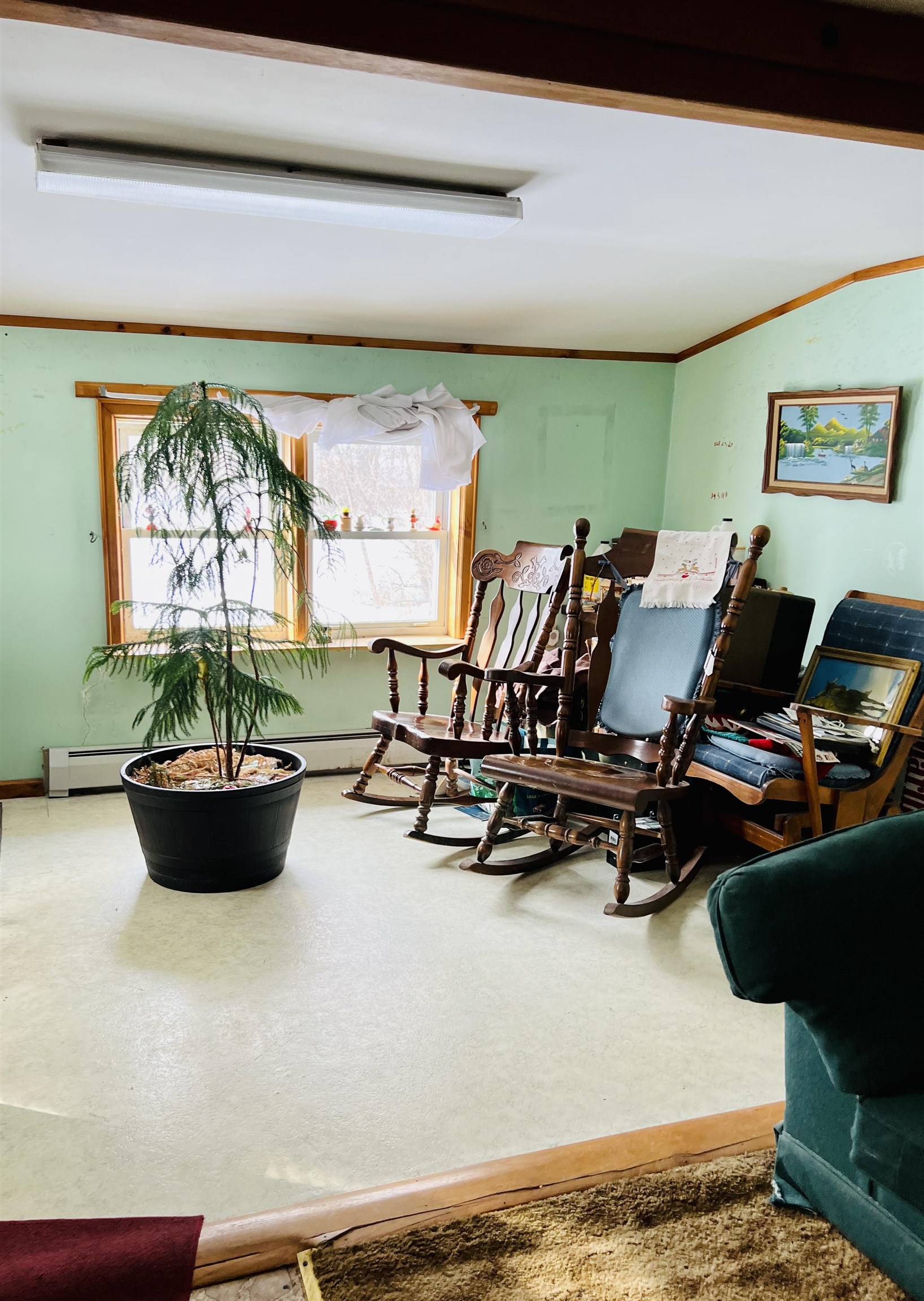 Sitting room with wooden rocking chairs, pale green walls, and a potted evergreen by the window.