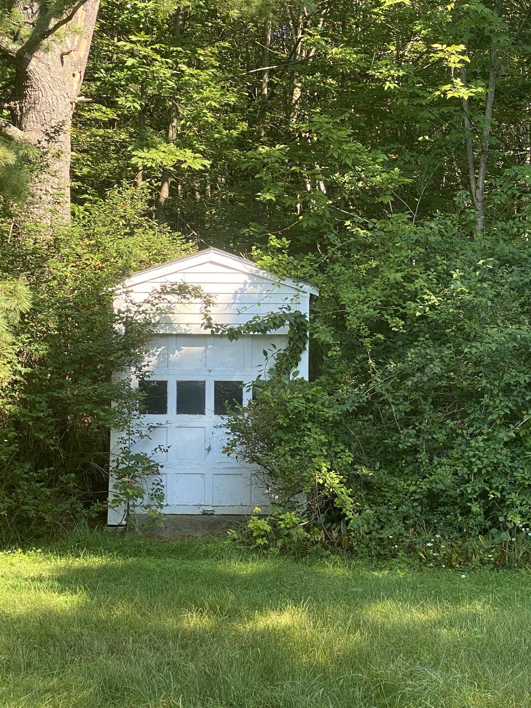White detached outbuilding partly hidden among dense trees beside a grassy lawn.