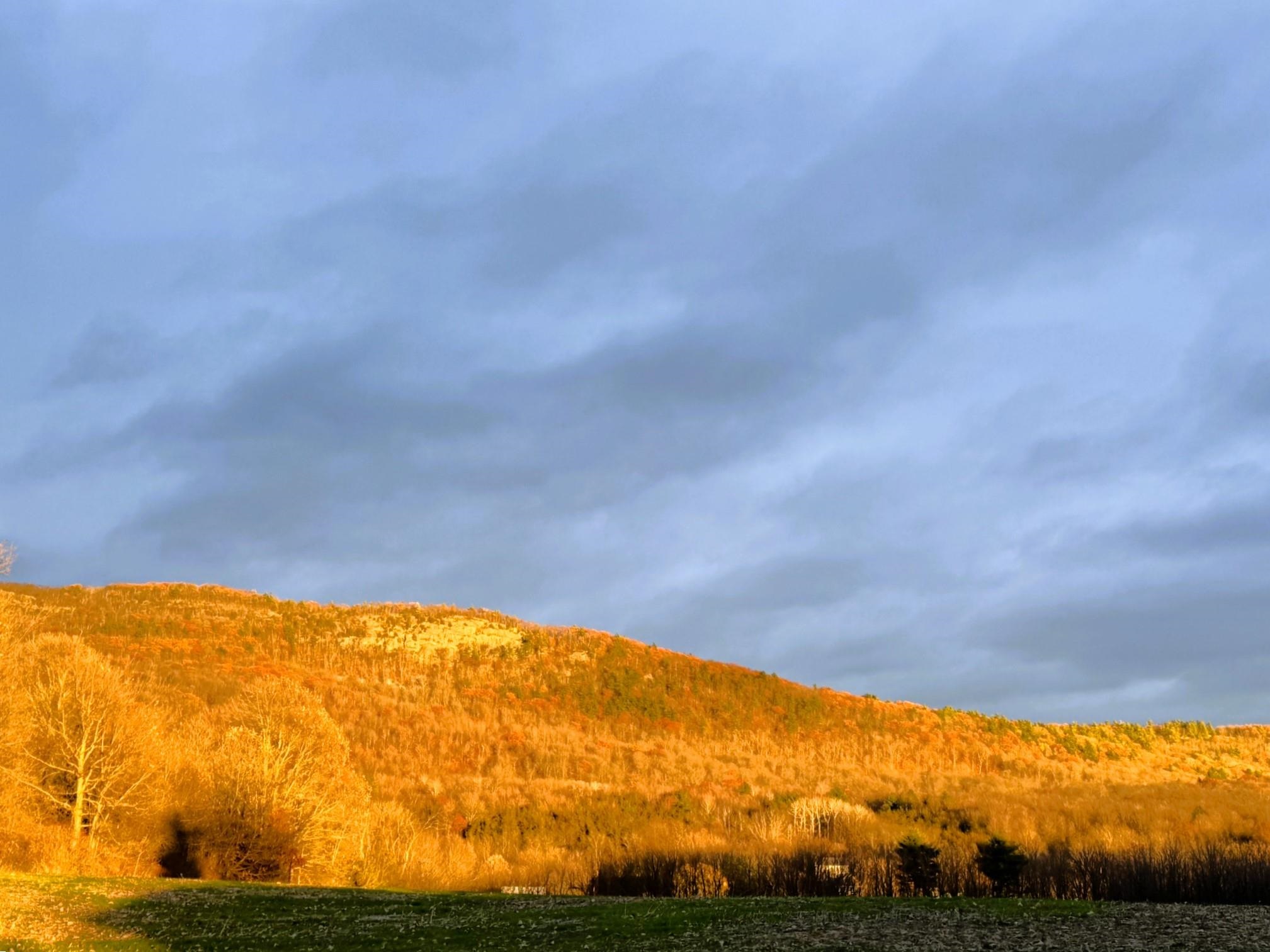 7323 Route 22A Highway