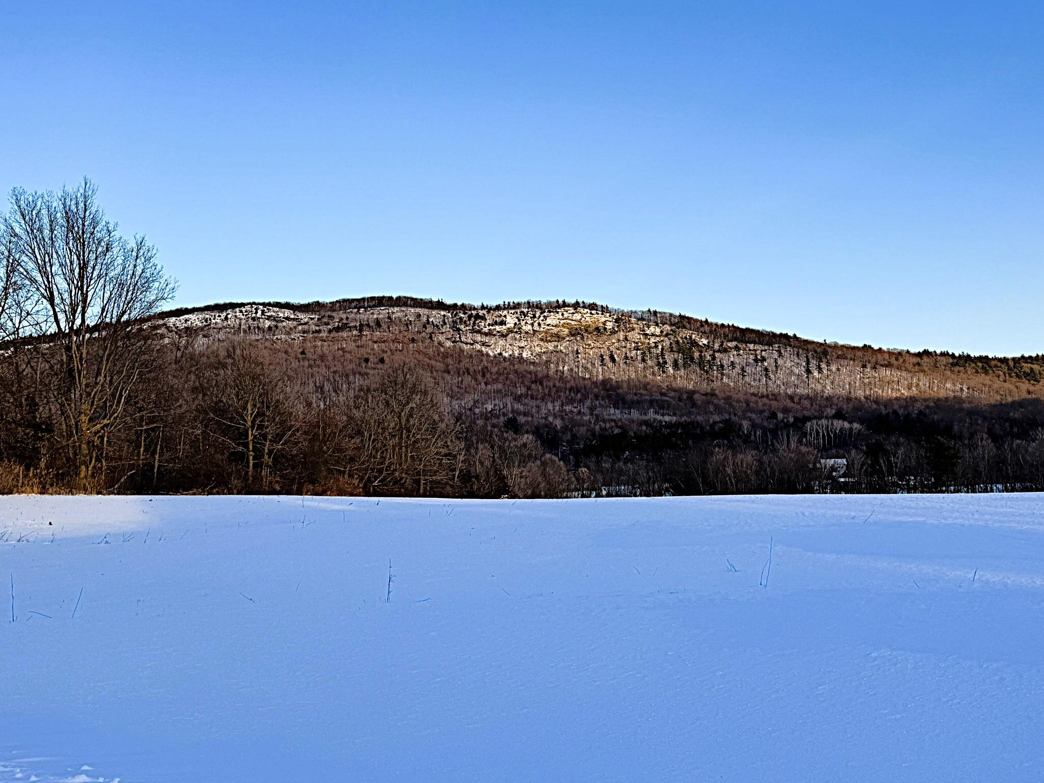 7323 Route 22A Highway