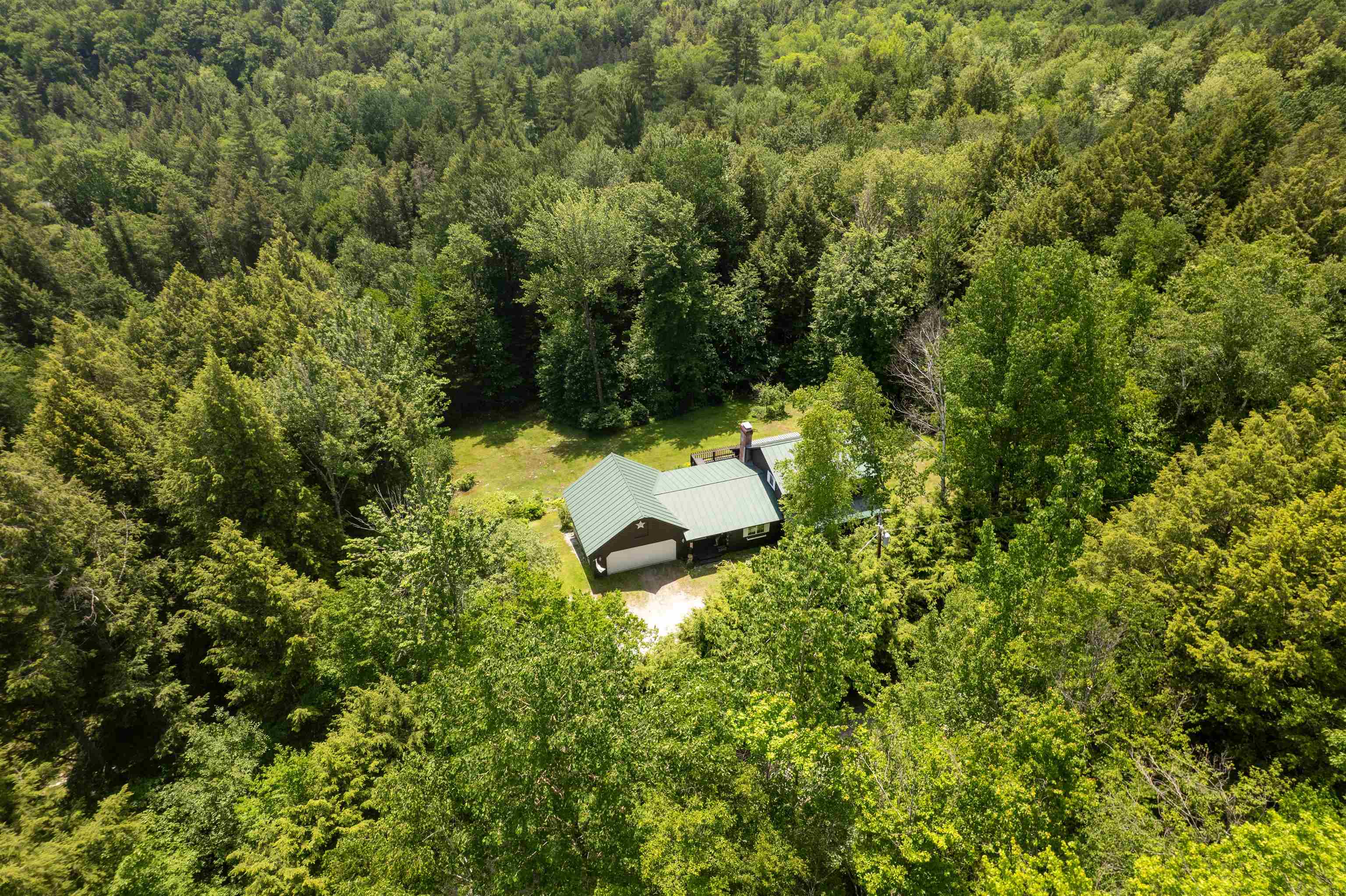 221 Fiddlehead Lane