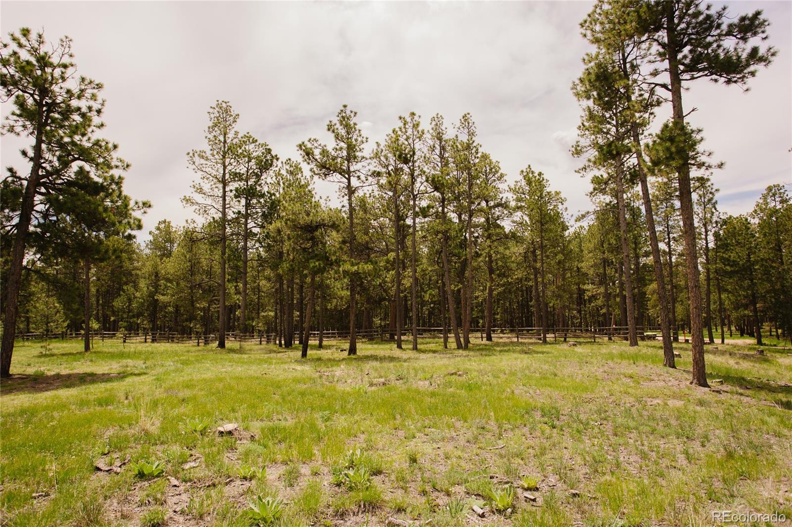 17312 W Goshawk Road