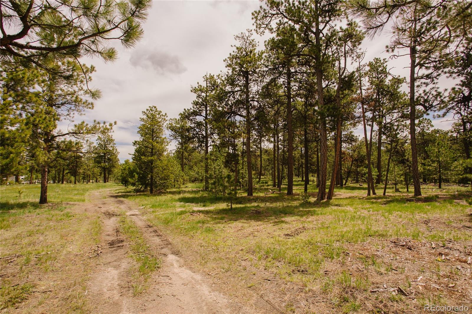 17312 W Goshawk Road