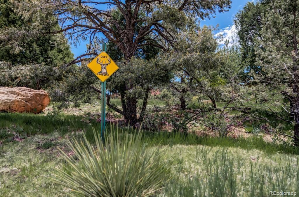 3455 Black Canyon Road