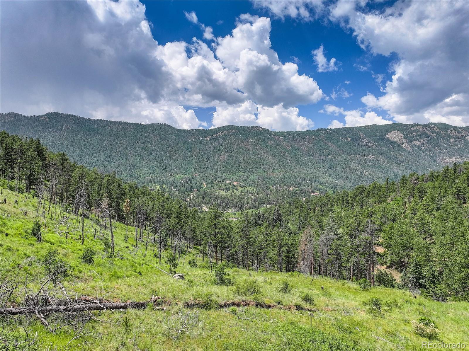 5975 Wellington Road