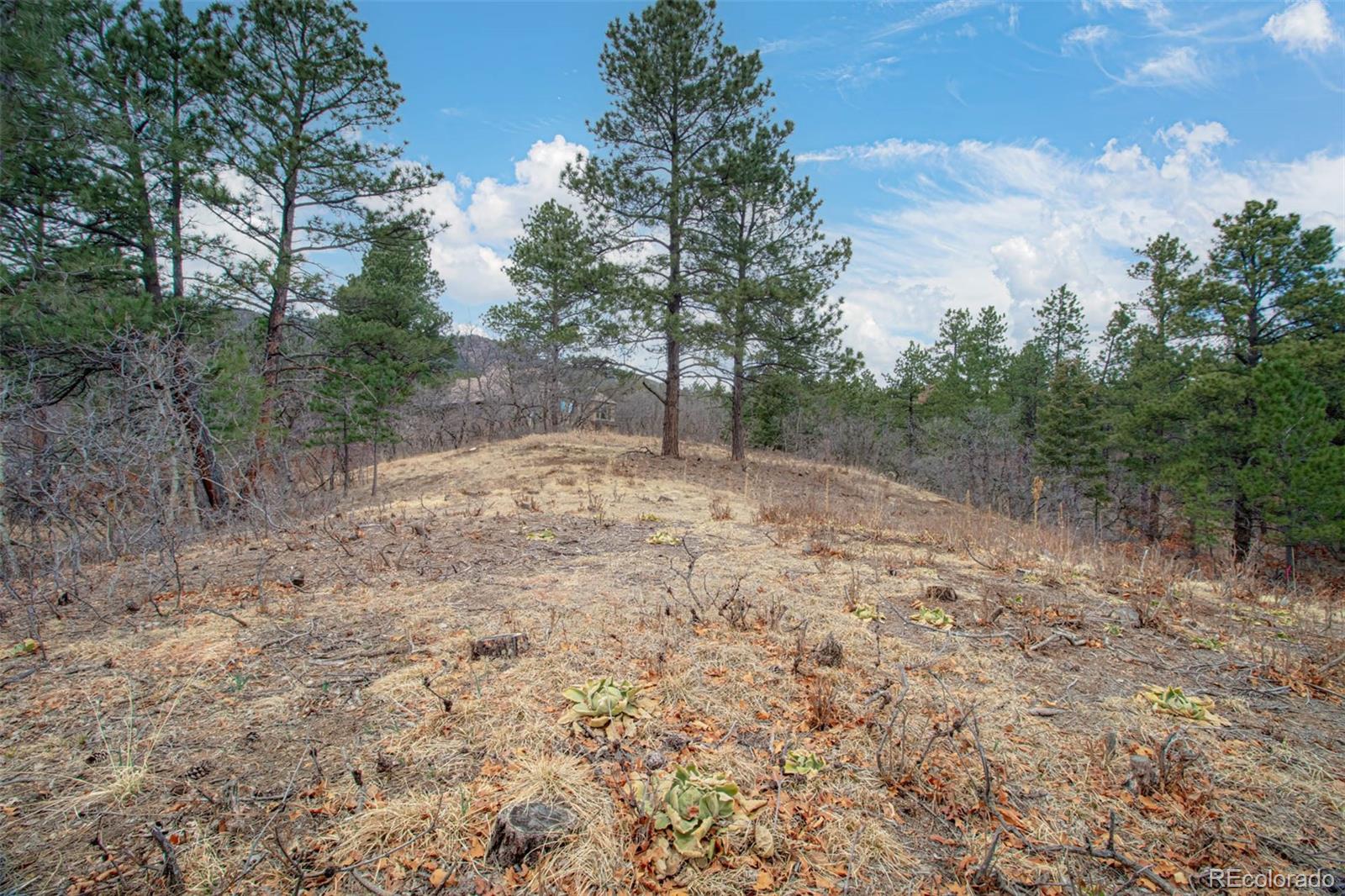 2054 Stratton Forest Heights