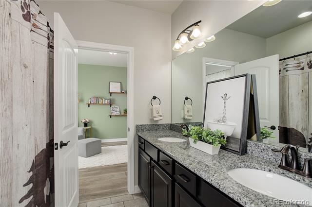 10704 Shavano Peak Court