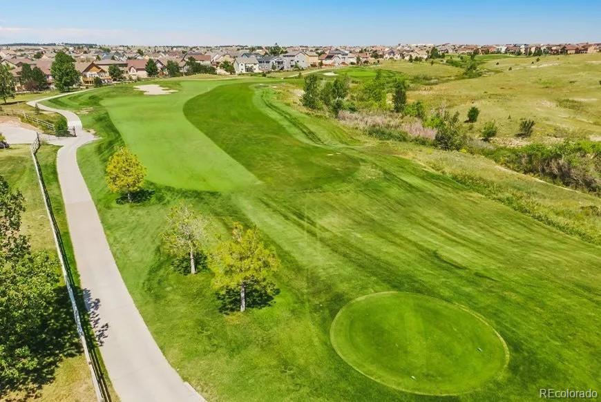 10704 Shavano Peak Court