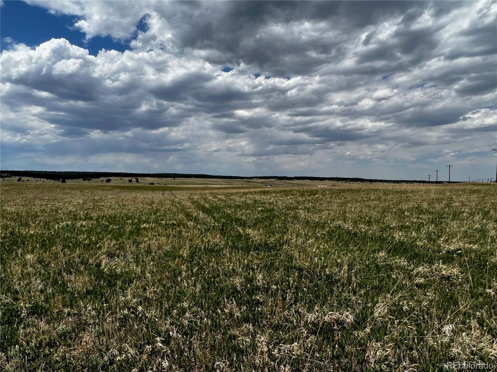 11970 Woodridge Terrace