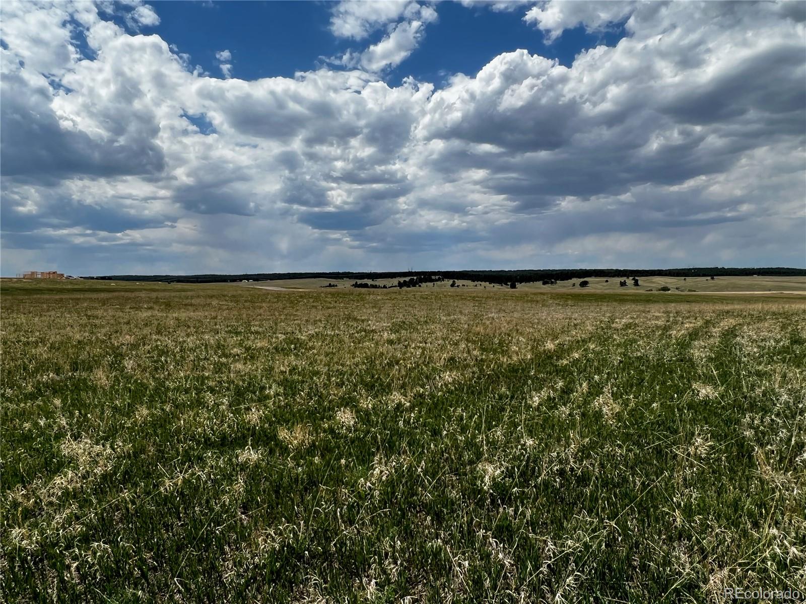 11970 Woodridge Terrace