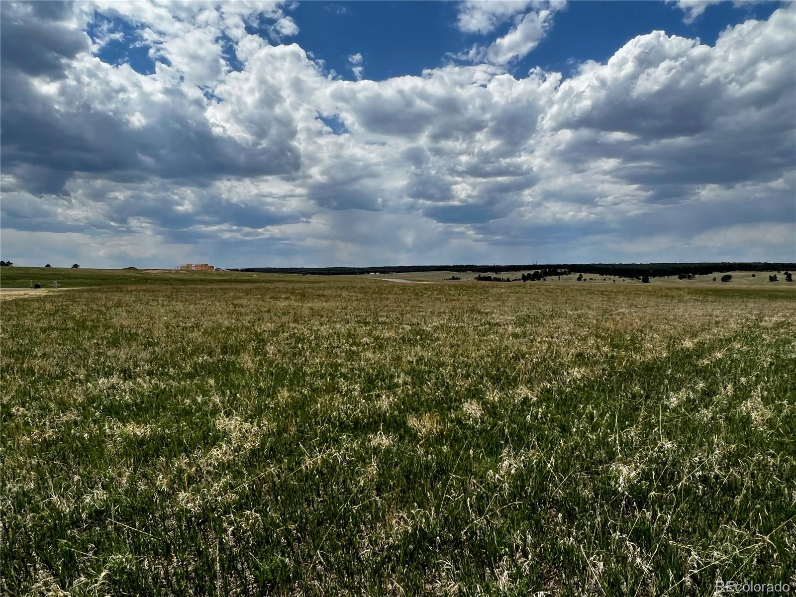 11970 Woodridge Terrace