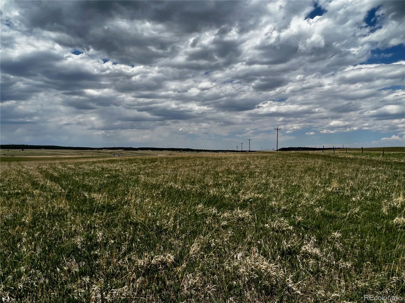 11970 Woodridge Terrace