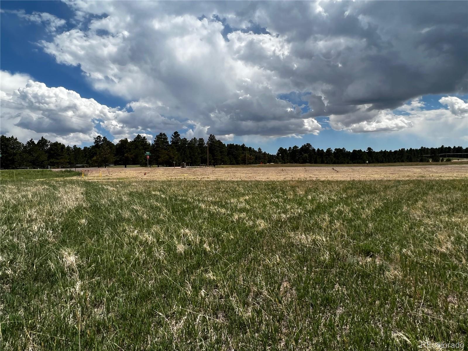 11970 Woodridge Terrace