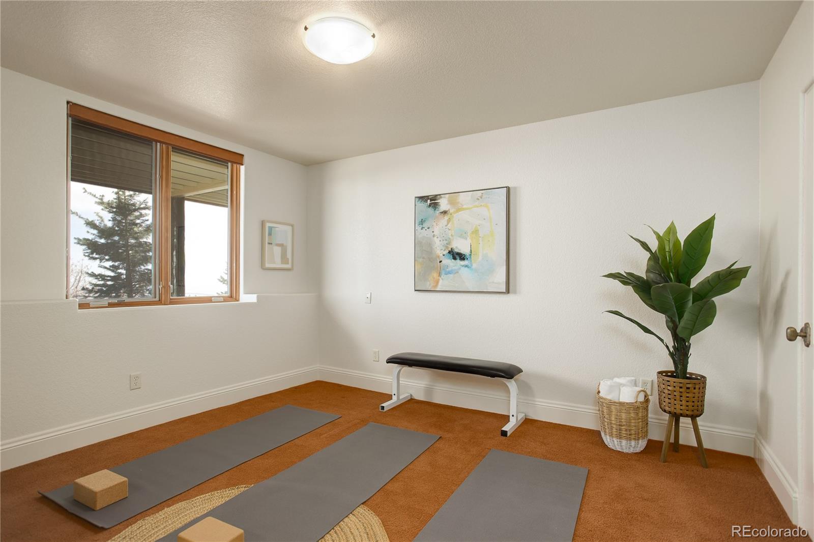 8585 Snowslide Trail