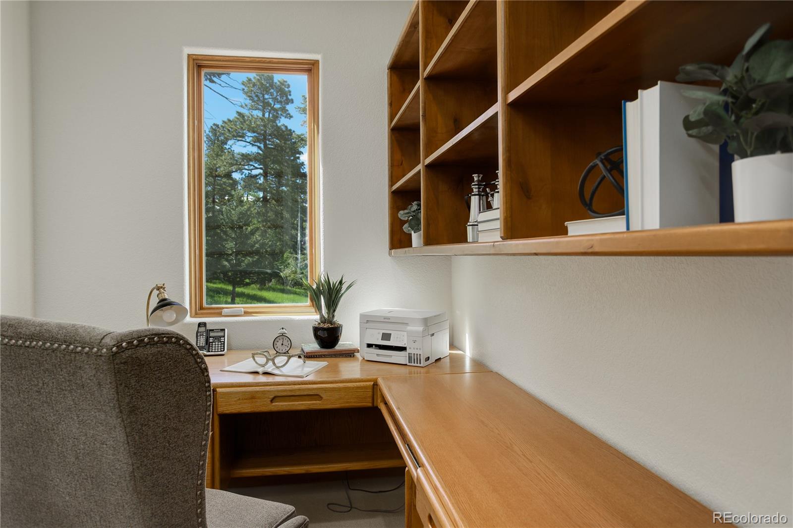 8585 Snowslide Trail