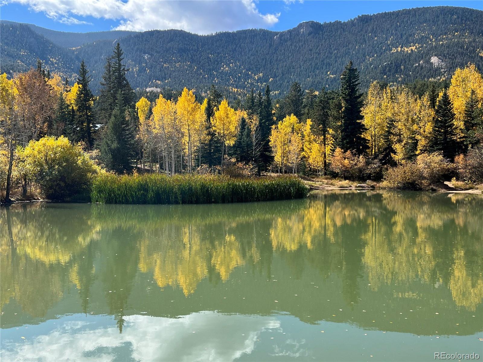 645 Sugarloaf Summit Road