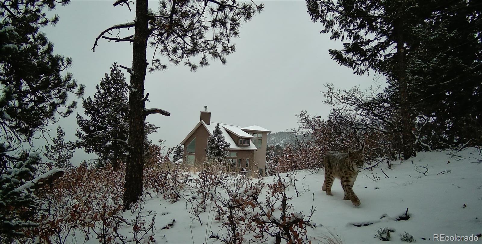 645 Sugarloaf Summit Road