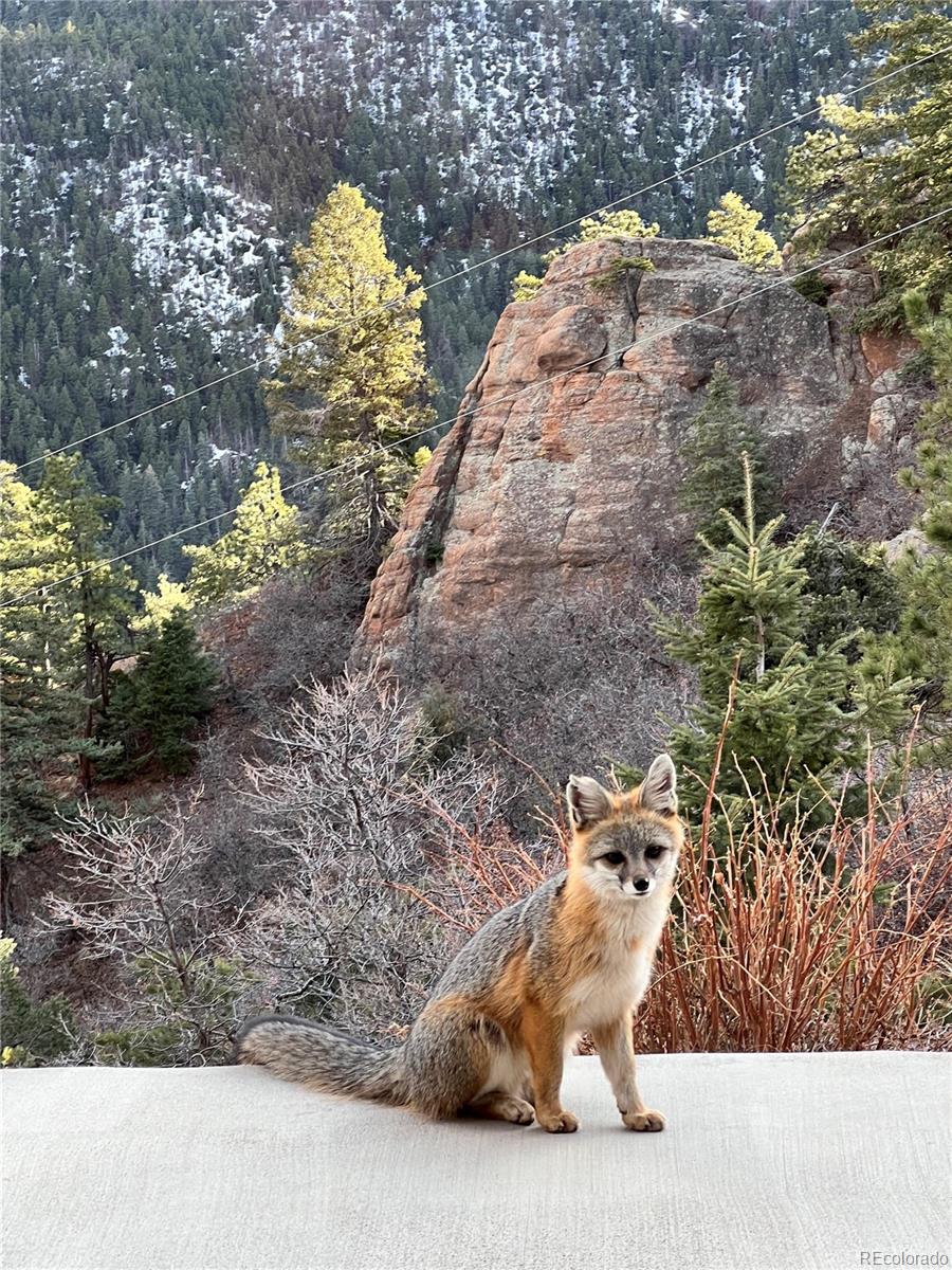 645 Sugarloaf Summit Road