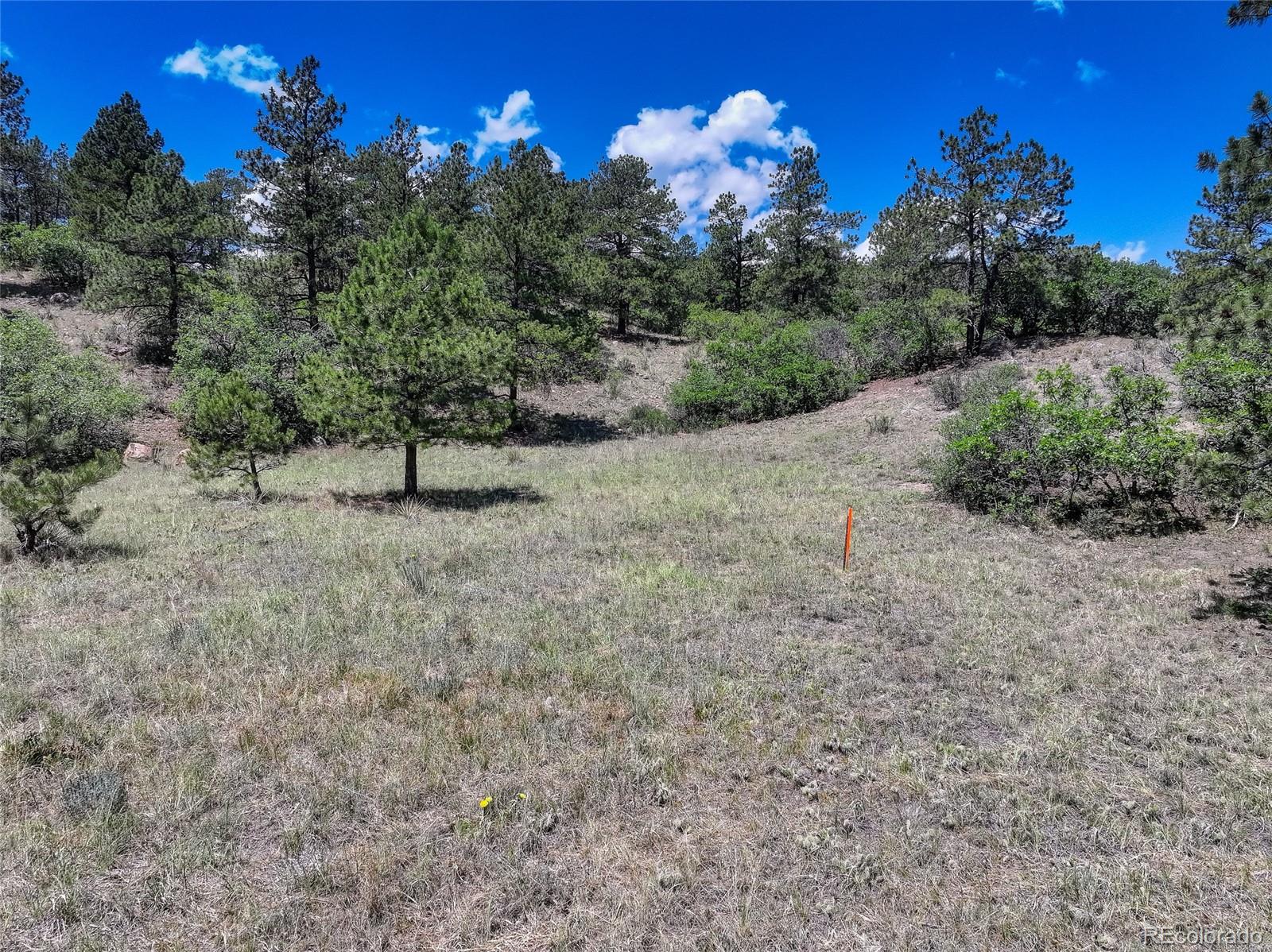 235 Dusty Hills Court
