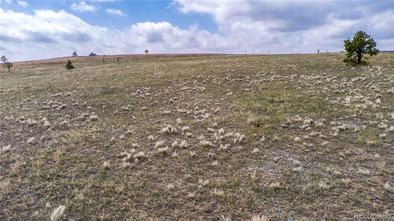 17196 Abert Ranch Drive