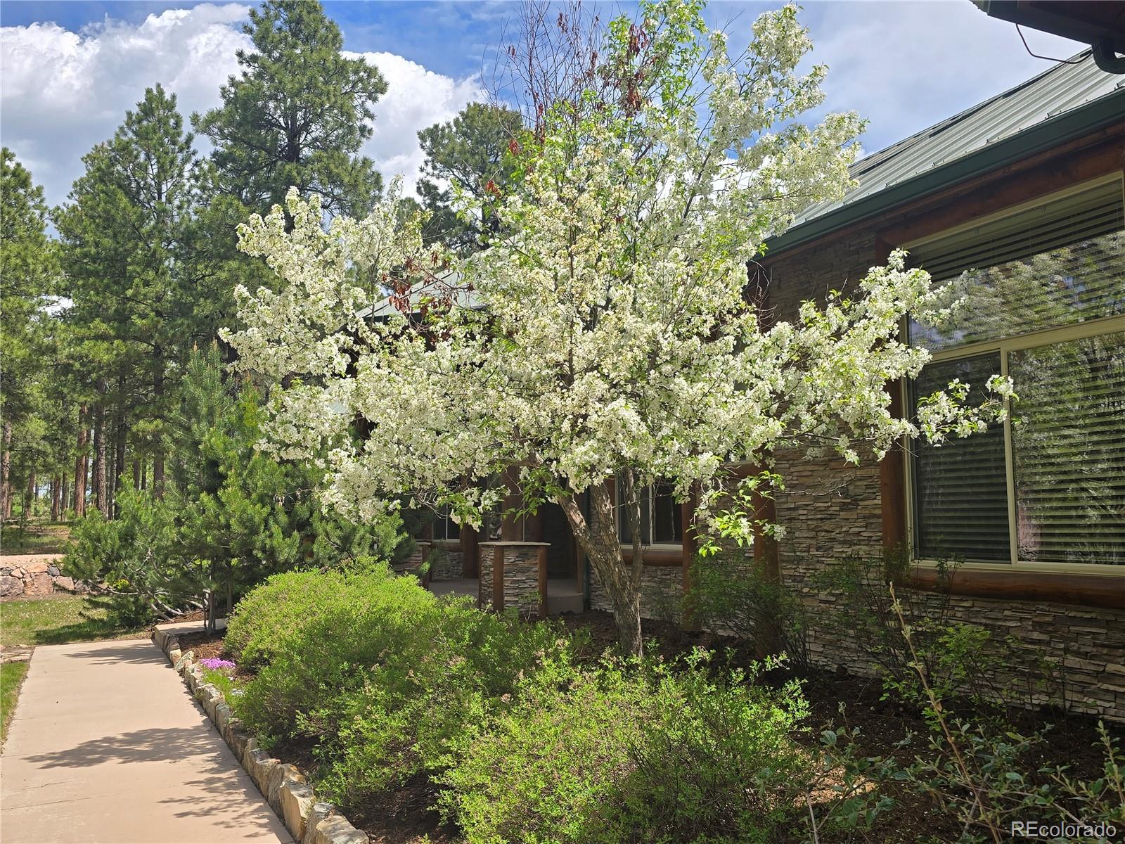 15975 Winding Trail Road