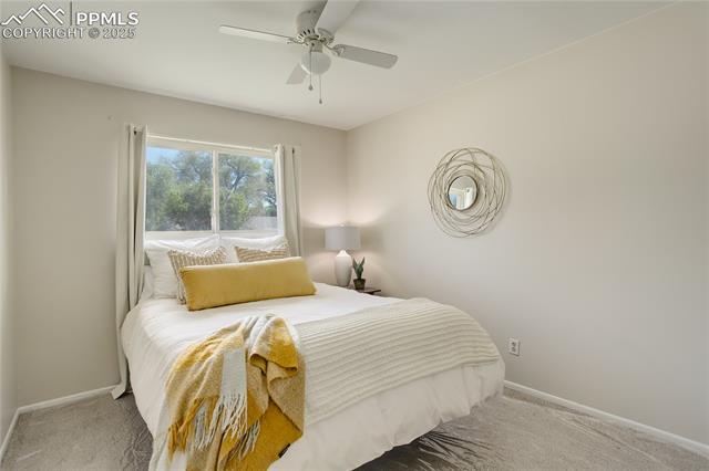 409 Columbine Street