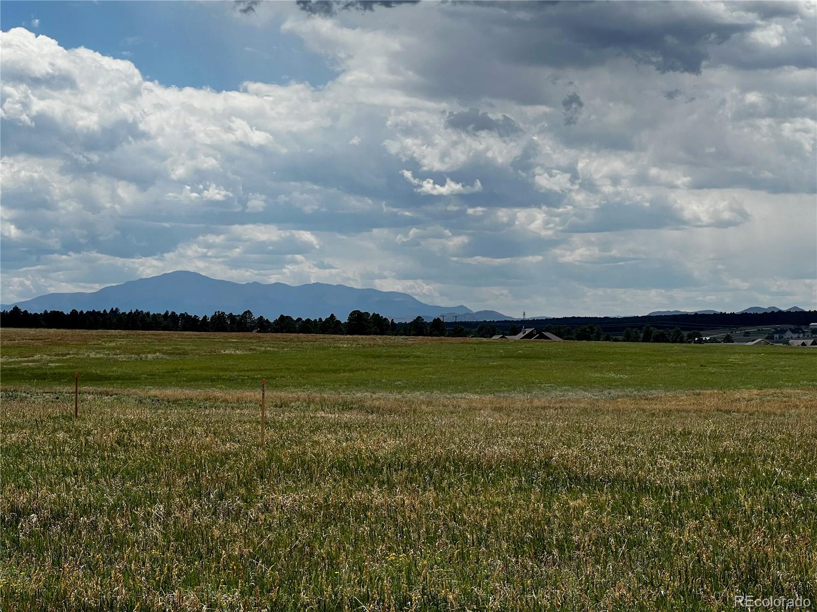 16990 Early Light Drive