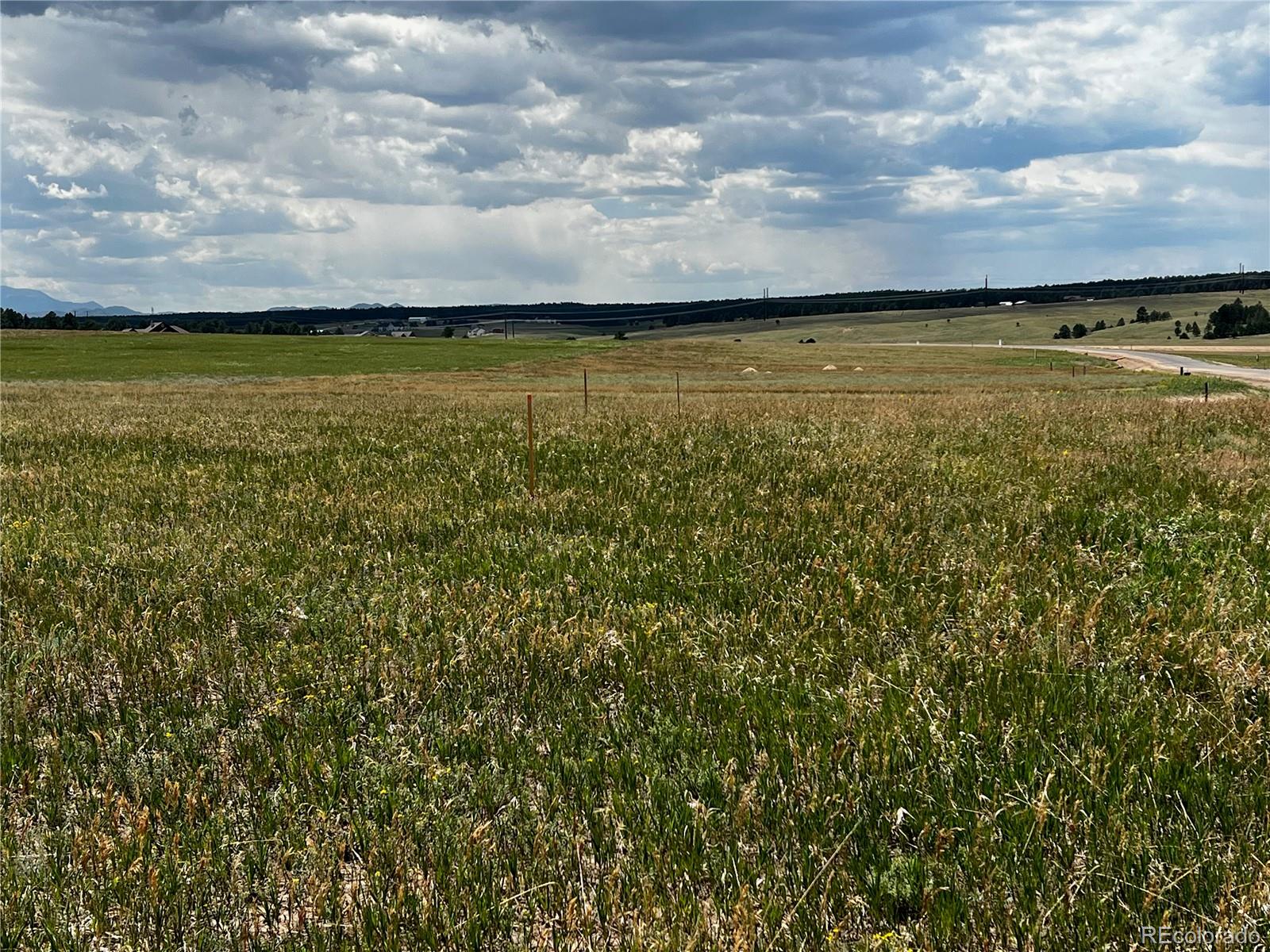 16990 Early Light Drive