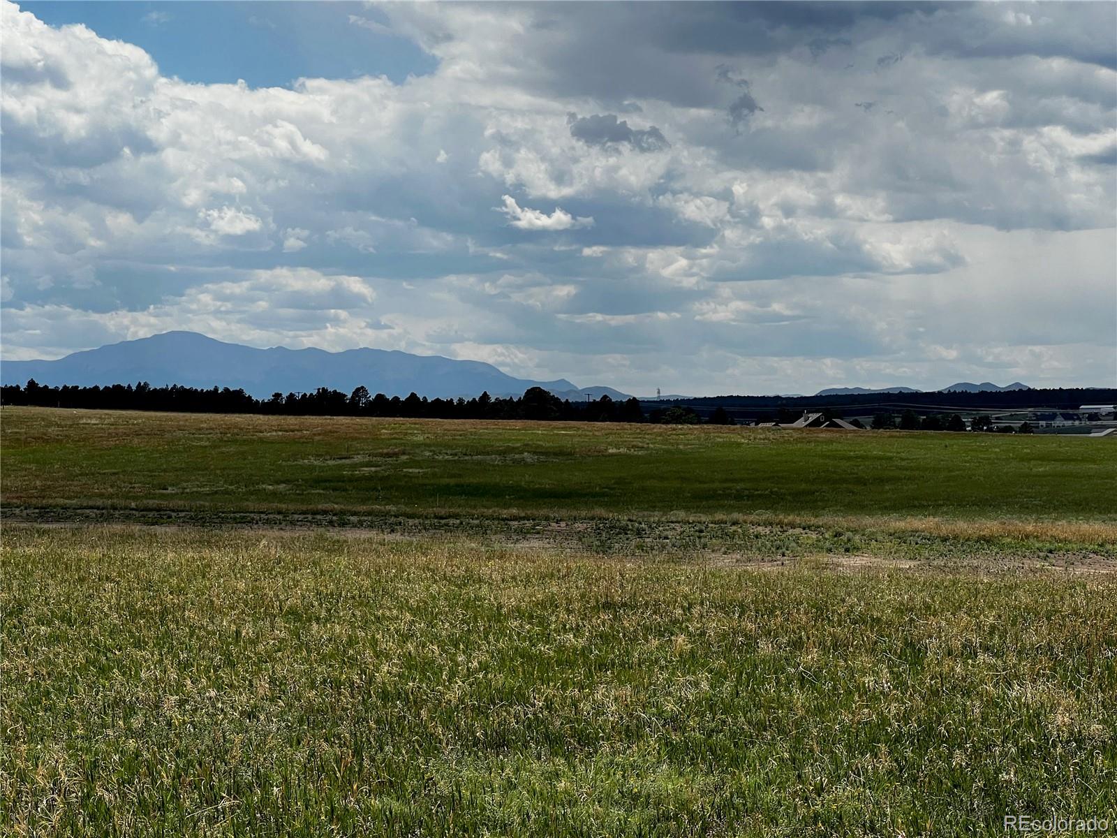 16990 Early Light Drive