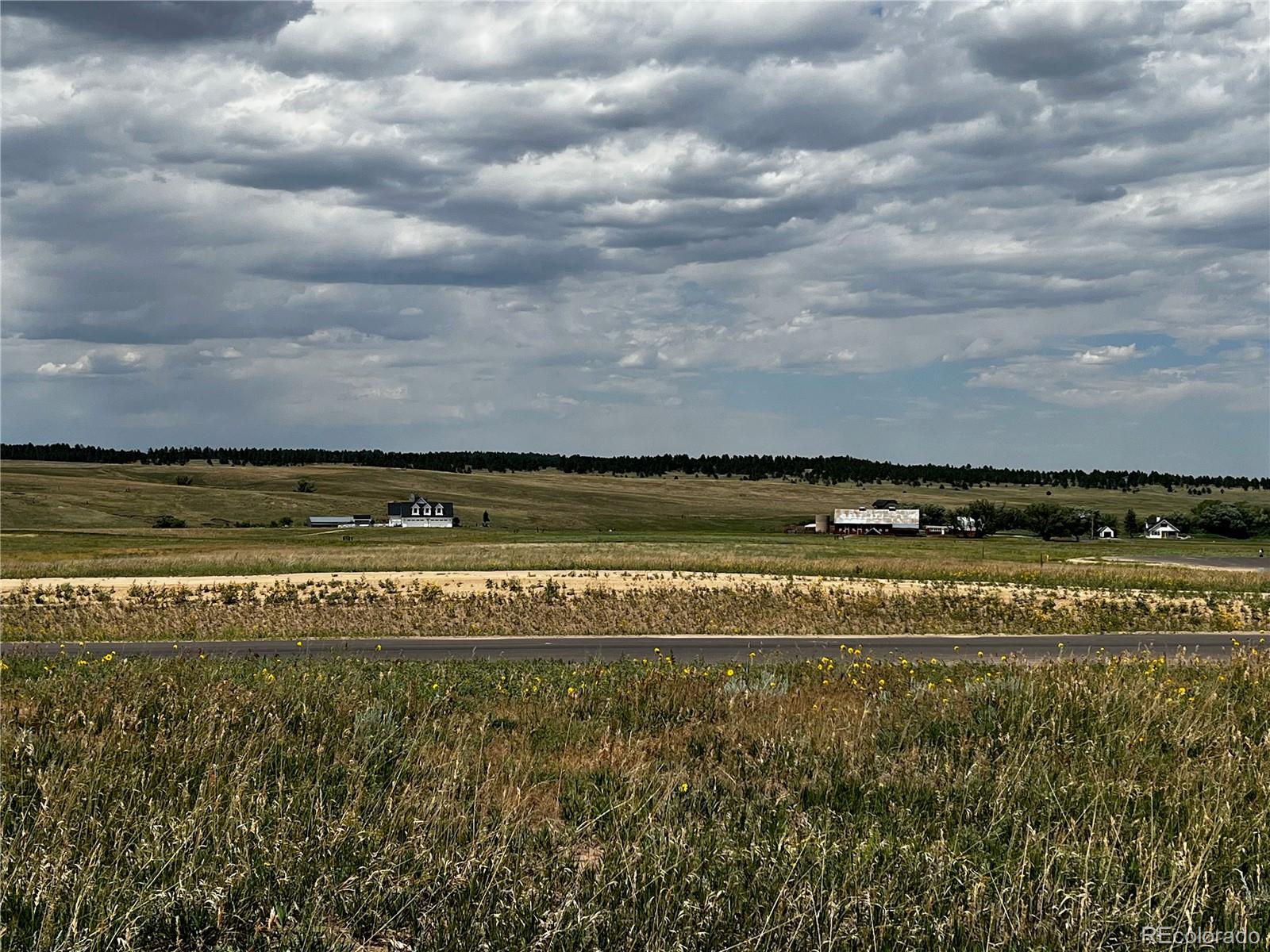 16990 Early Light Drive