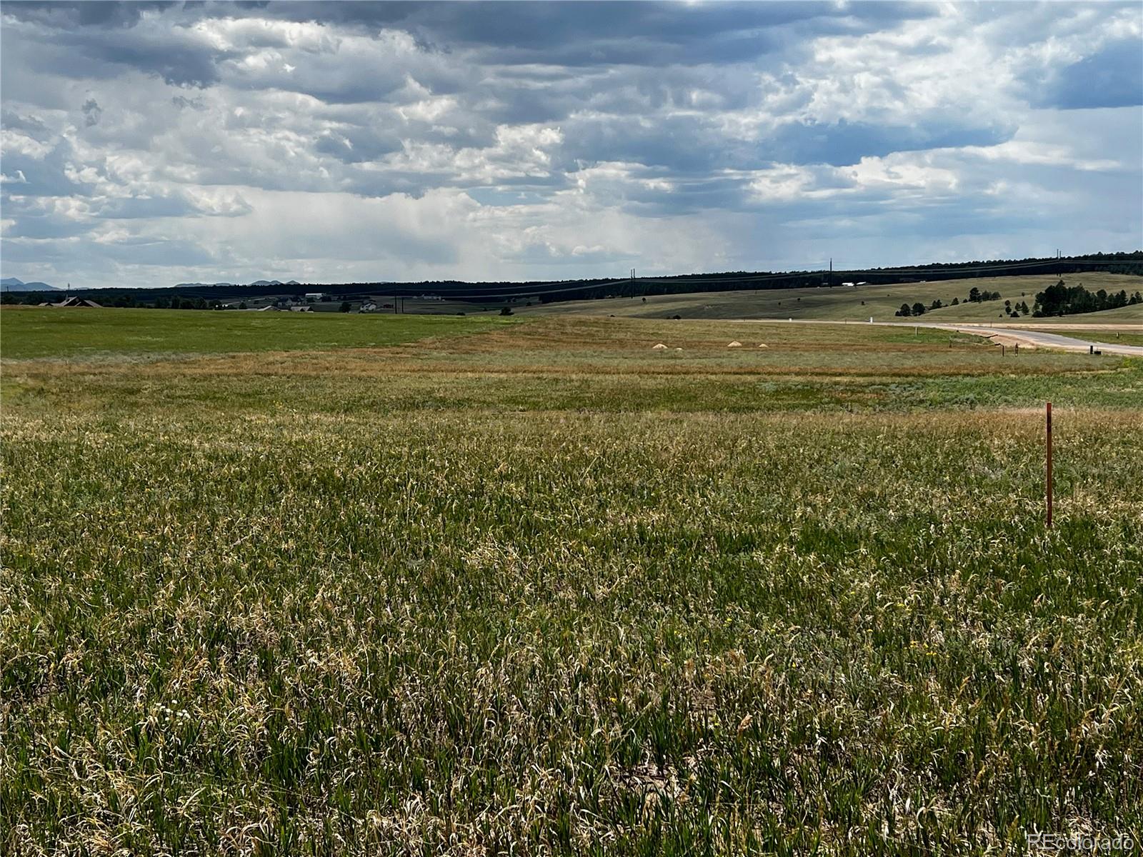 16990 Early Light Drive