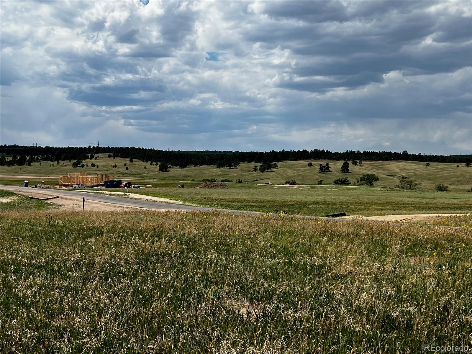 16990 Early Light Drive