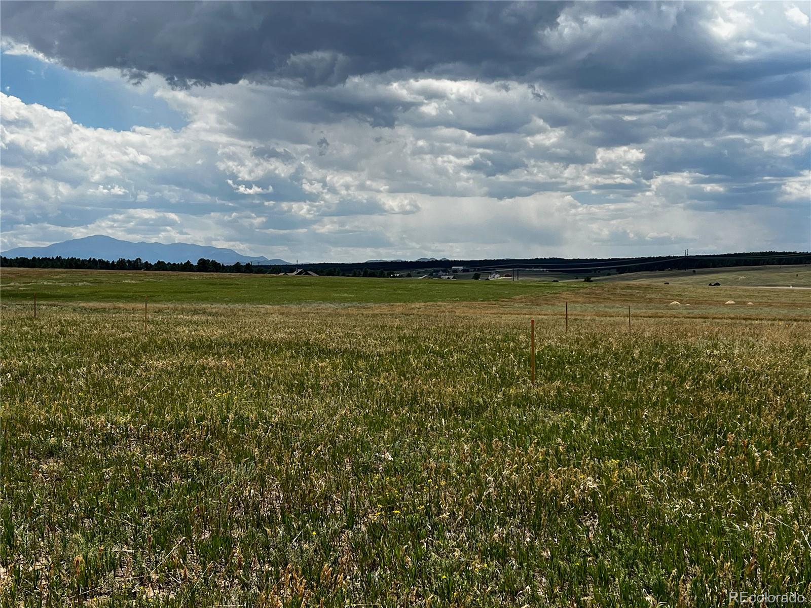 16990 Early Light Drive