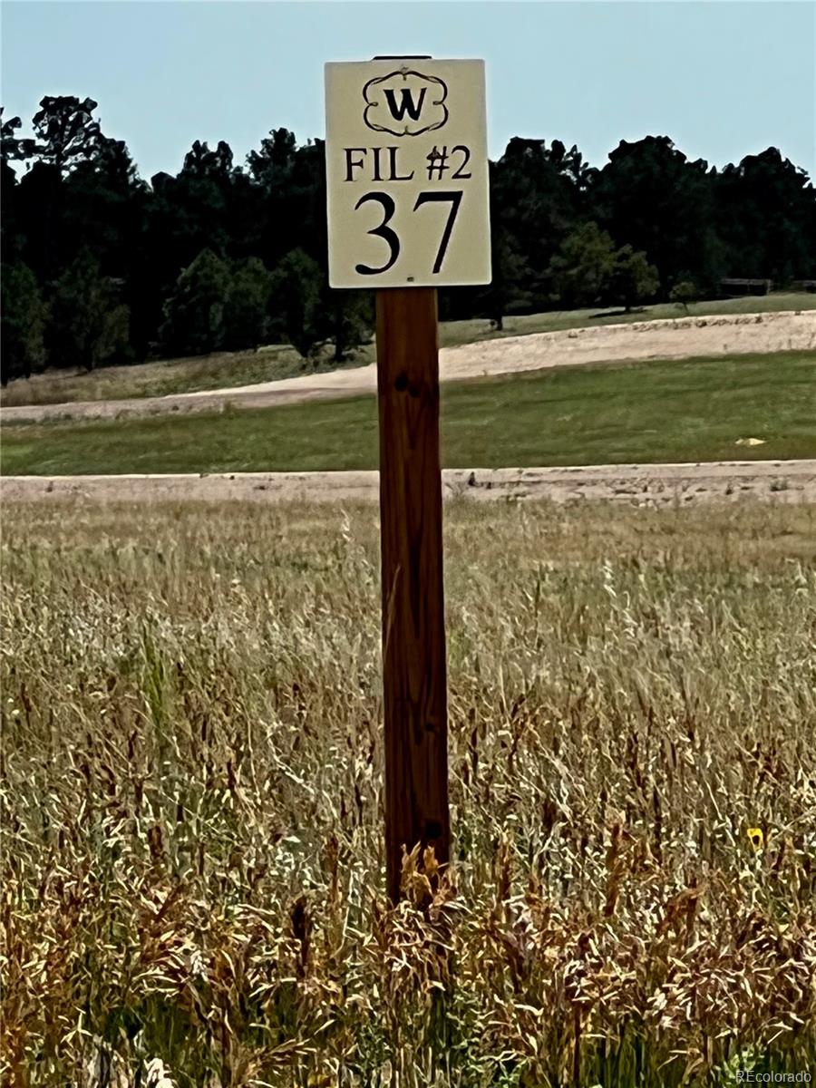 16990 Early Light Drive