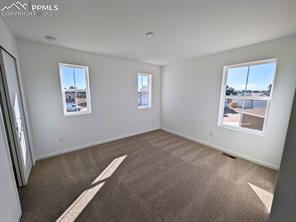9343 Golden Buffs Drive