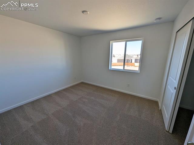 9343 Golden Buffs Drive