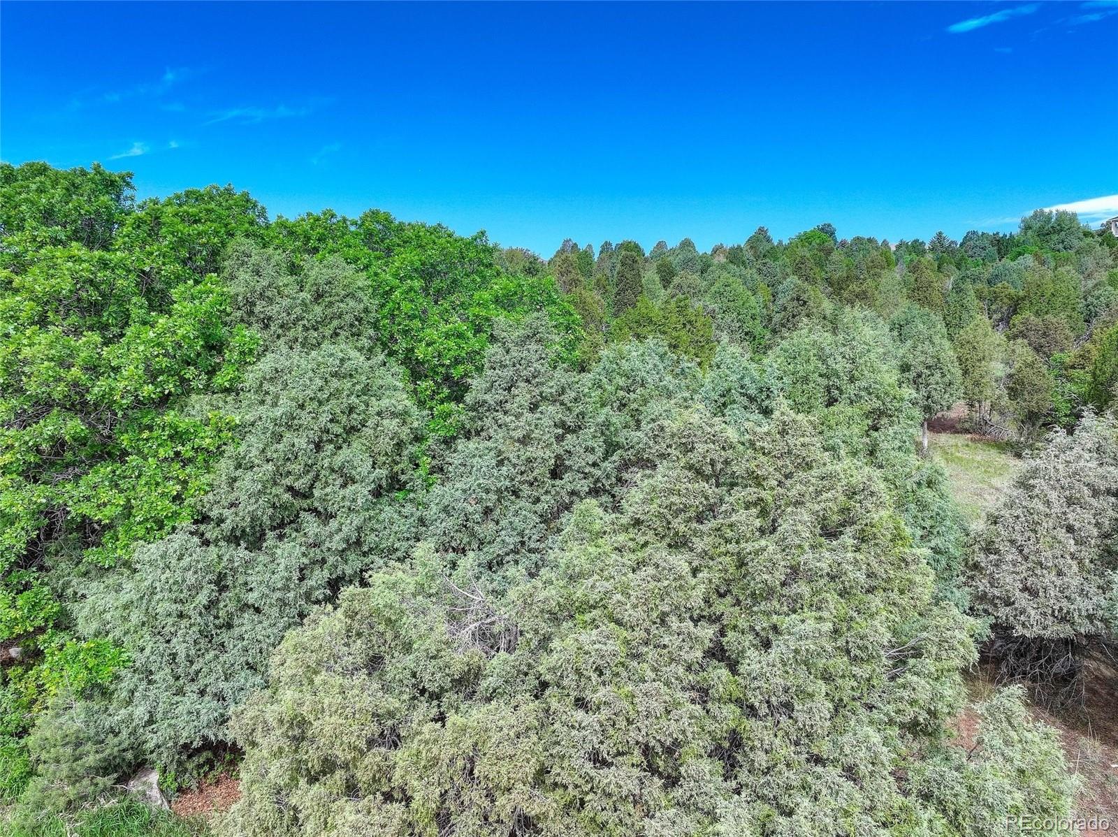 3585 Twisted Oak Circle