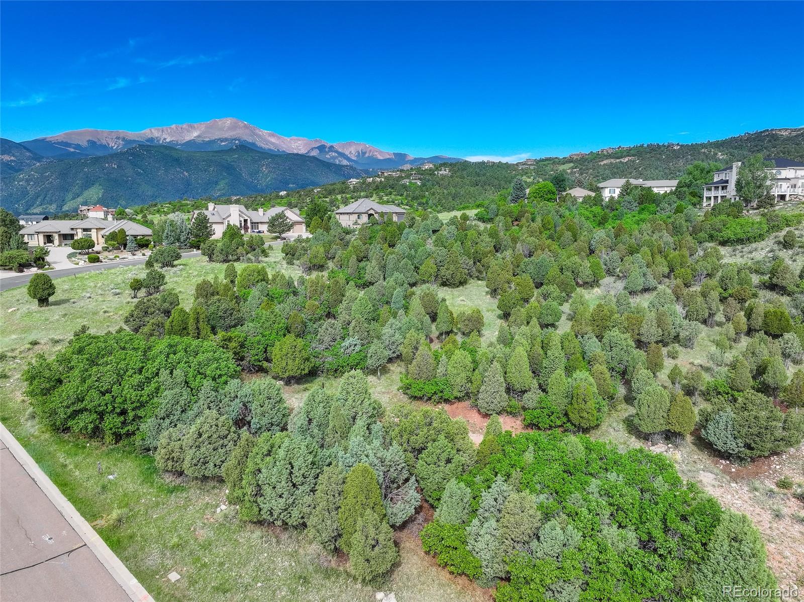 3585 Twisted Oak Circle