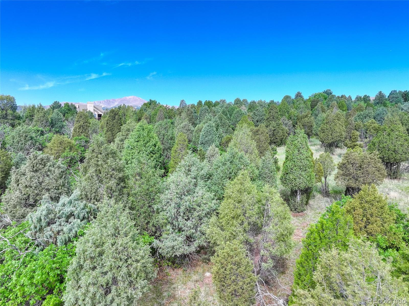 3585 Twisted Oak Circle