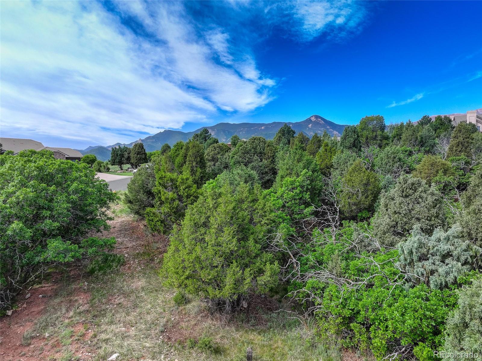 3585 Twisted Oak Circle